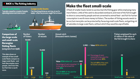 EyeOverFishing.org - Compare fisheries-13.jpg